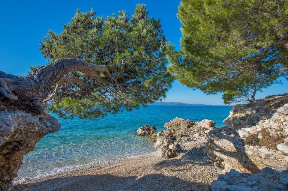 Apartments Kovacic Makarska Kültér fotó